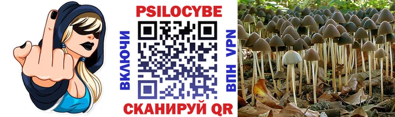 мега вход  Дивногорск  Псилоцибиновые грибы MAGIC MUSHROOMS 